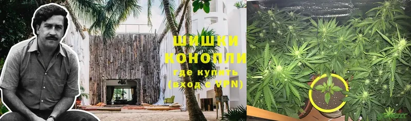 Шишки марихуана Ganja  купить закладку  blacksprut вход  Йошкар-Ола 